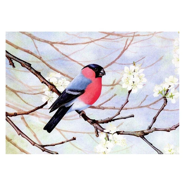 Practical Maxbell DIY 5D Diamond Painting Embroidery Cross Stitch Kit 40x30cm Bird Dependable