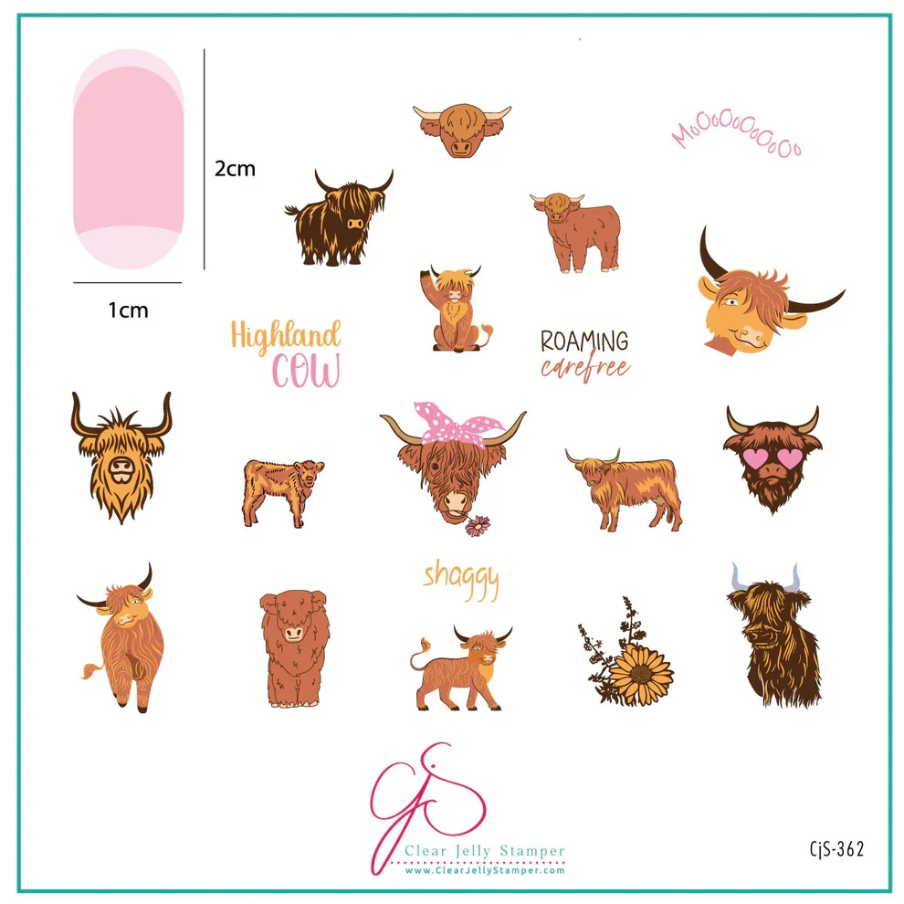 First-Class Highland Cow CjS-362 - CJS Medium Stamping Plate Modern
