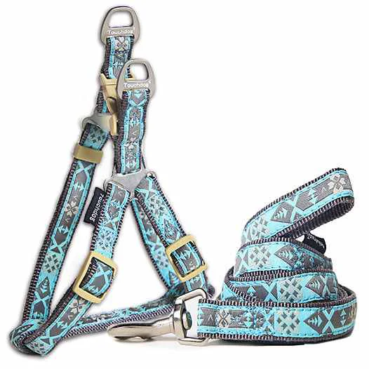 Trendy Pet Life Touchdog 'Shape Patterned' Tough Stitched Dog Harness and Leash Secure