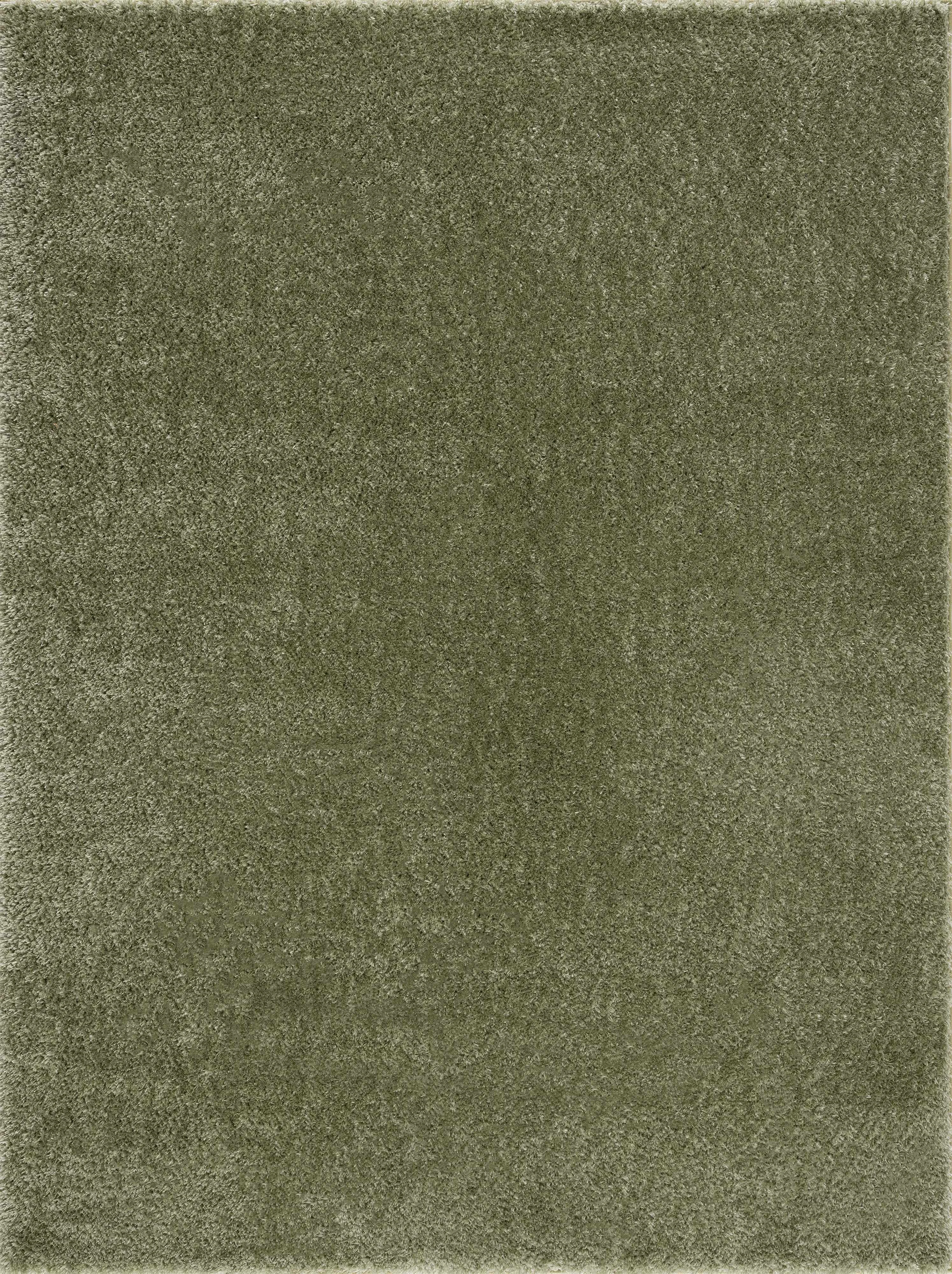 Classic Heavenly Solid Green Plush Rug - Trusted
