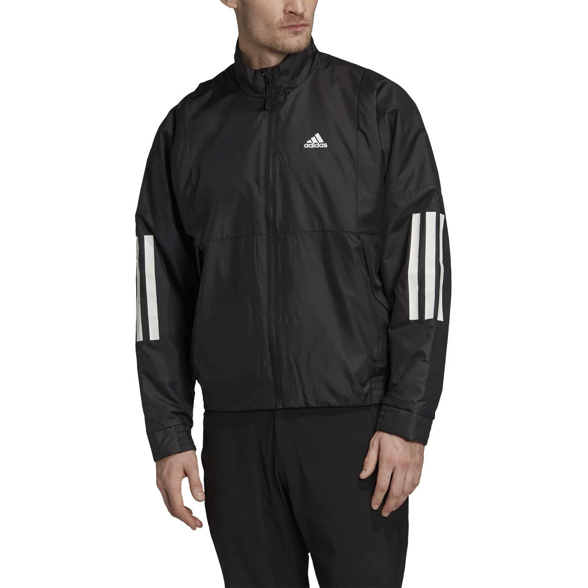 Advanced adidas Men's Back To Sport Light Jacket Quality