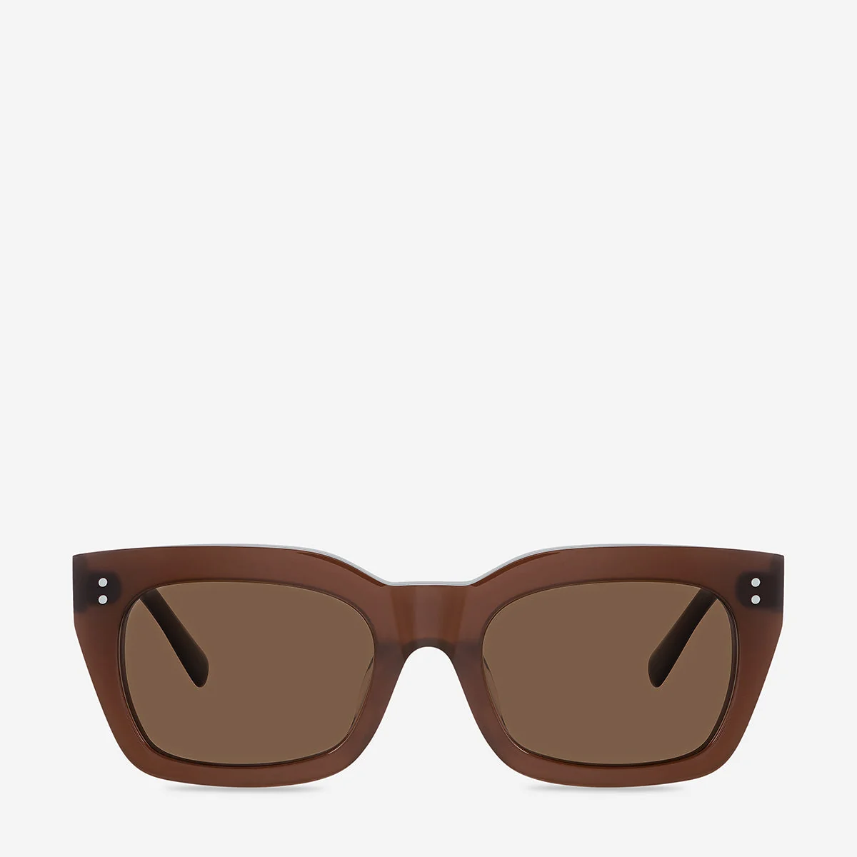 Convenient Status Anxiety Antagonist Sunglasses in Brown First-Class