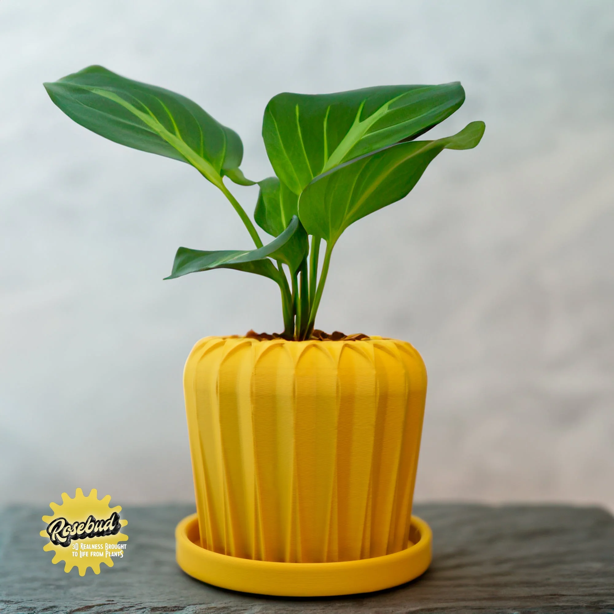 Relaxed Lunar Bloom Plant Pot Flexible