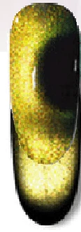 Top-Quality Citrine Blackout Cats Eye Gel Polish High-Grade