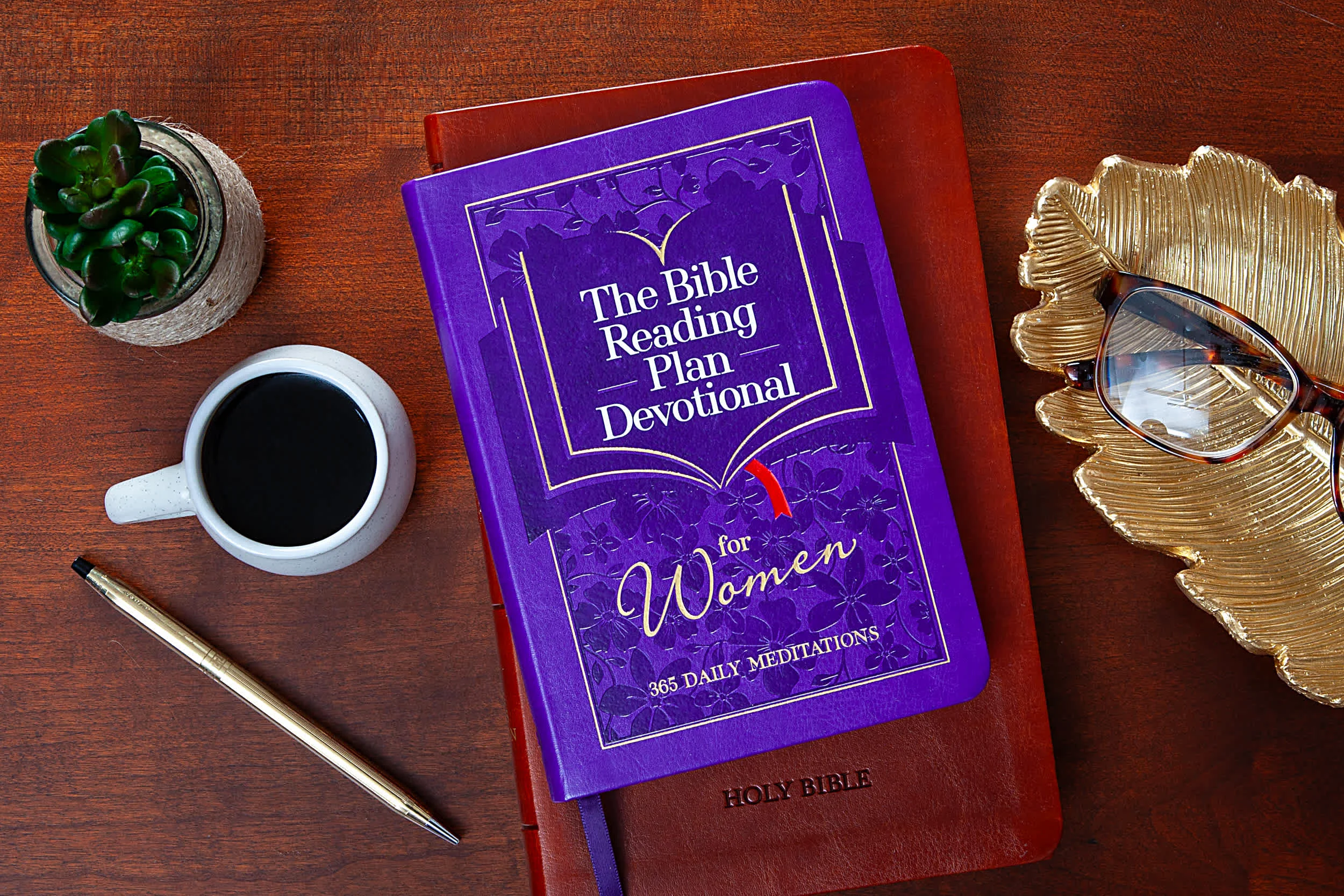 Original The Bible Reading Plan Devotional for Women Expertly Made