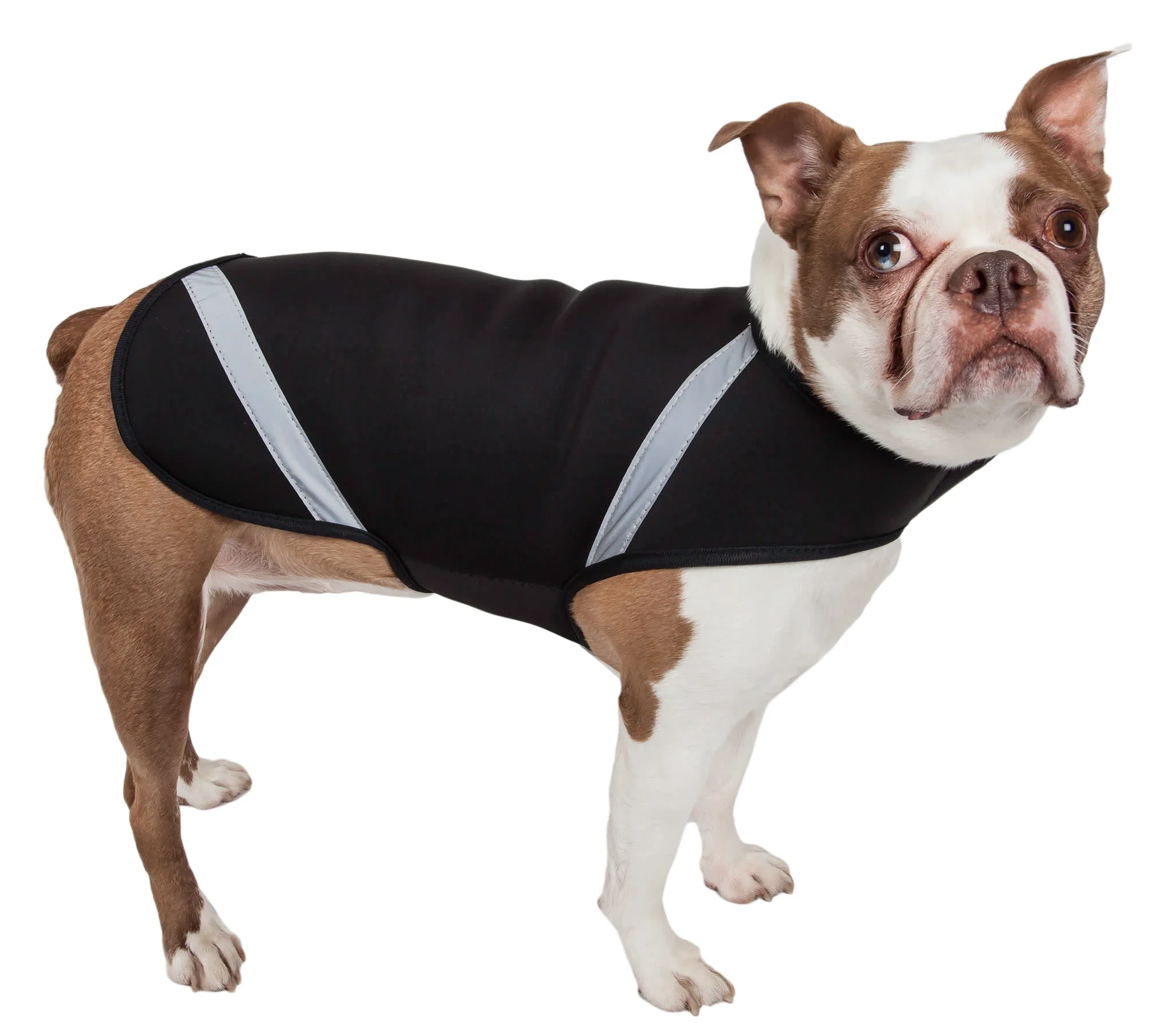 Environmentally Friendly Pet Life Extreme Neoprene Multi-Purpose Protective Shell Dog Coat Lightweight