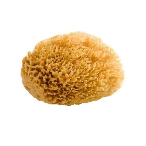 High-Grade Greek Sea Sponge Unbleached Brown Fino Silk Large Size Adult Bath 6 Inch 1Ea Convenient