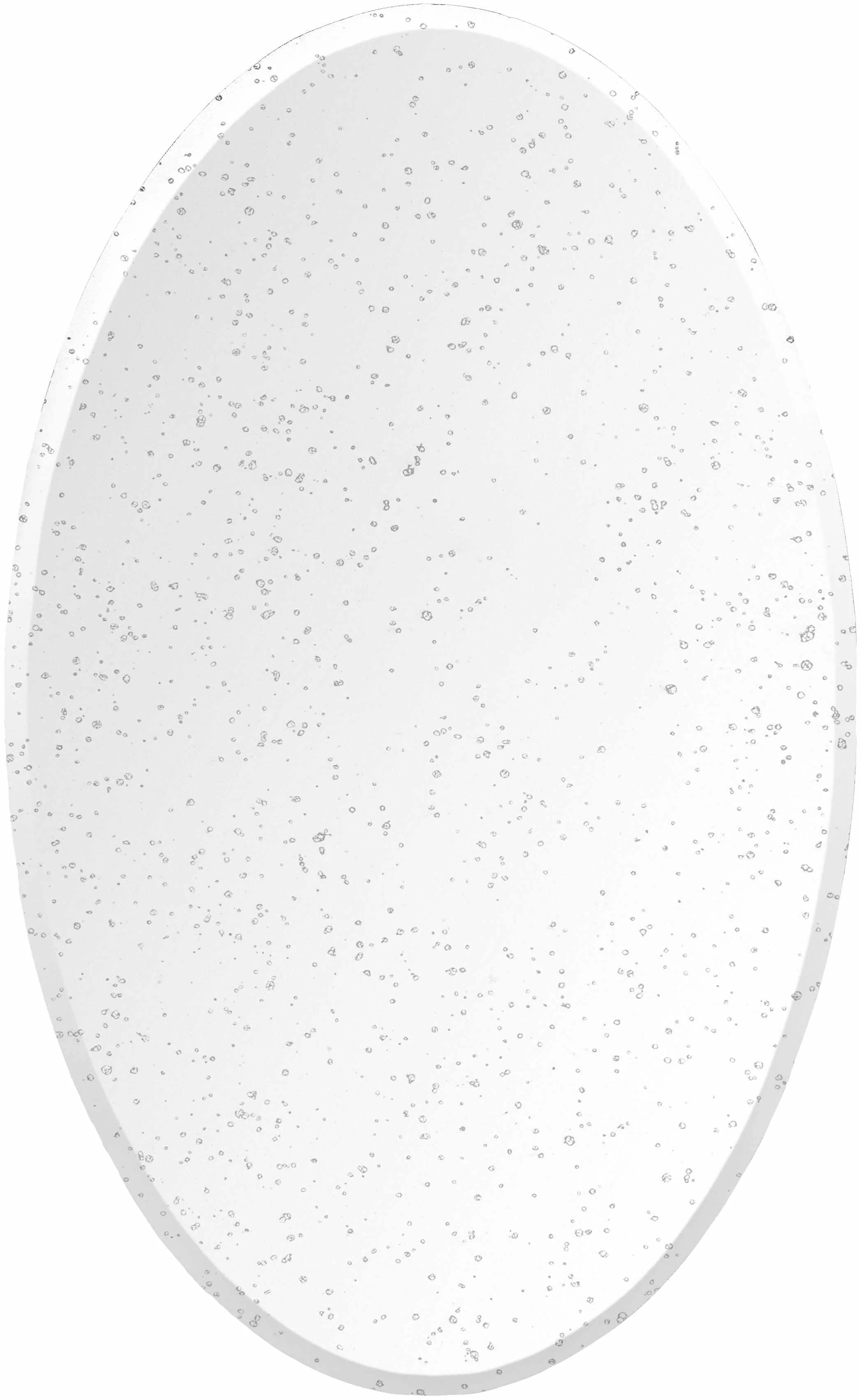 Original Tunga Mirror - Natural