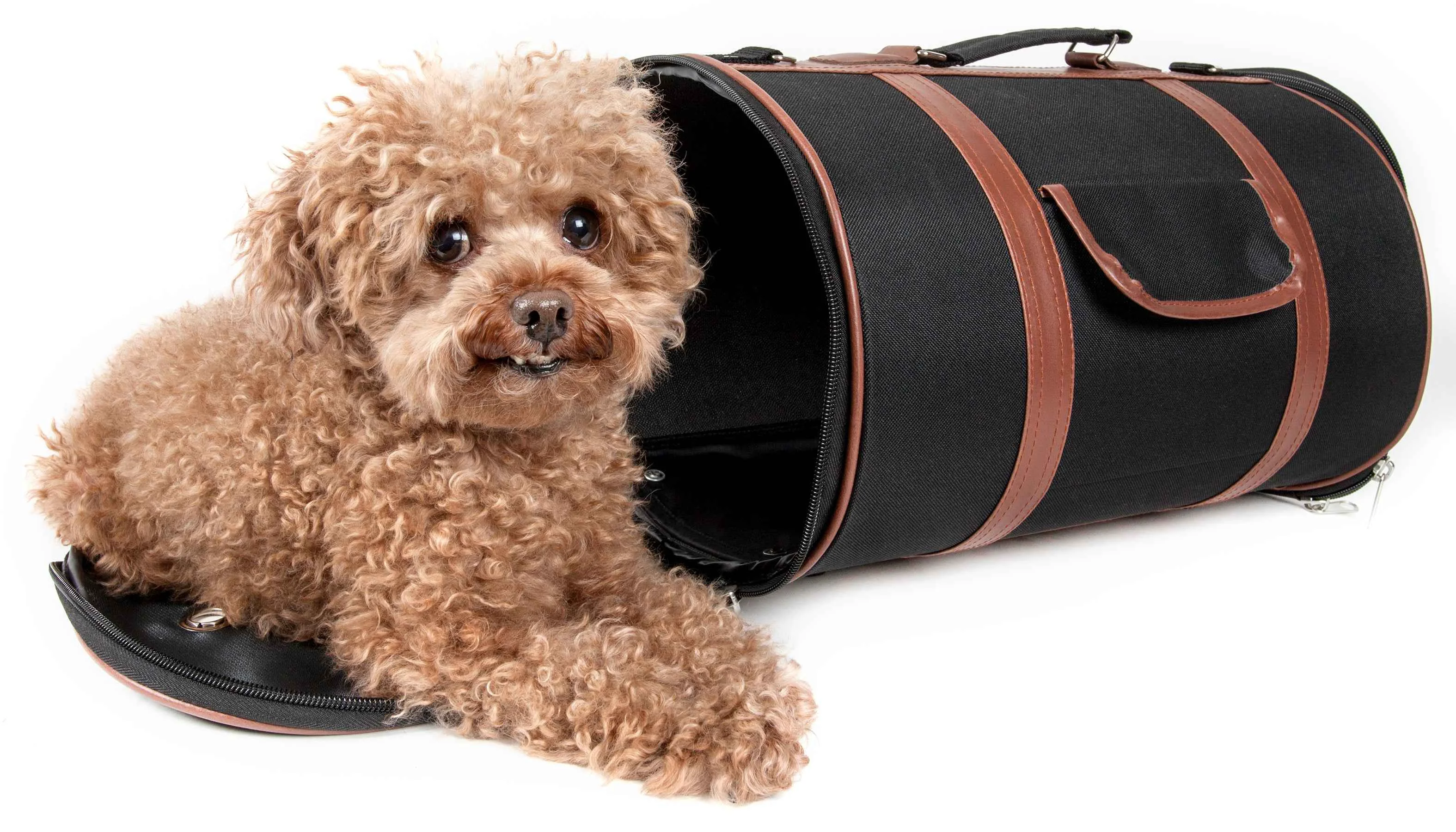 Artisan Pet Life Airline Fashion Cylinder Posh Pet Carrier - Black Brown - One Size Recyclable