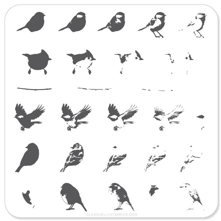First-Class Itty Bitty Birds CjS-30 - CJS Small Stamping Plate Smooth