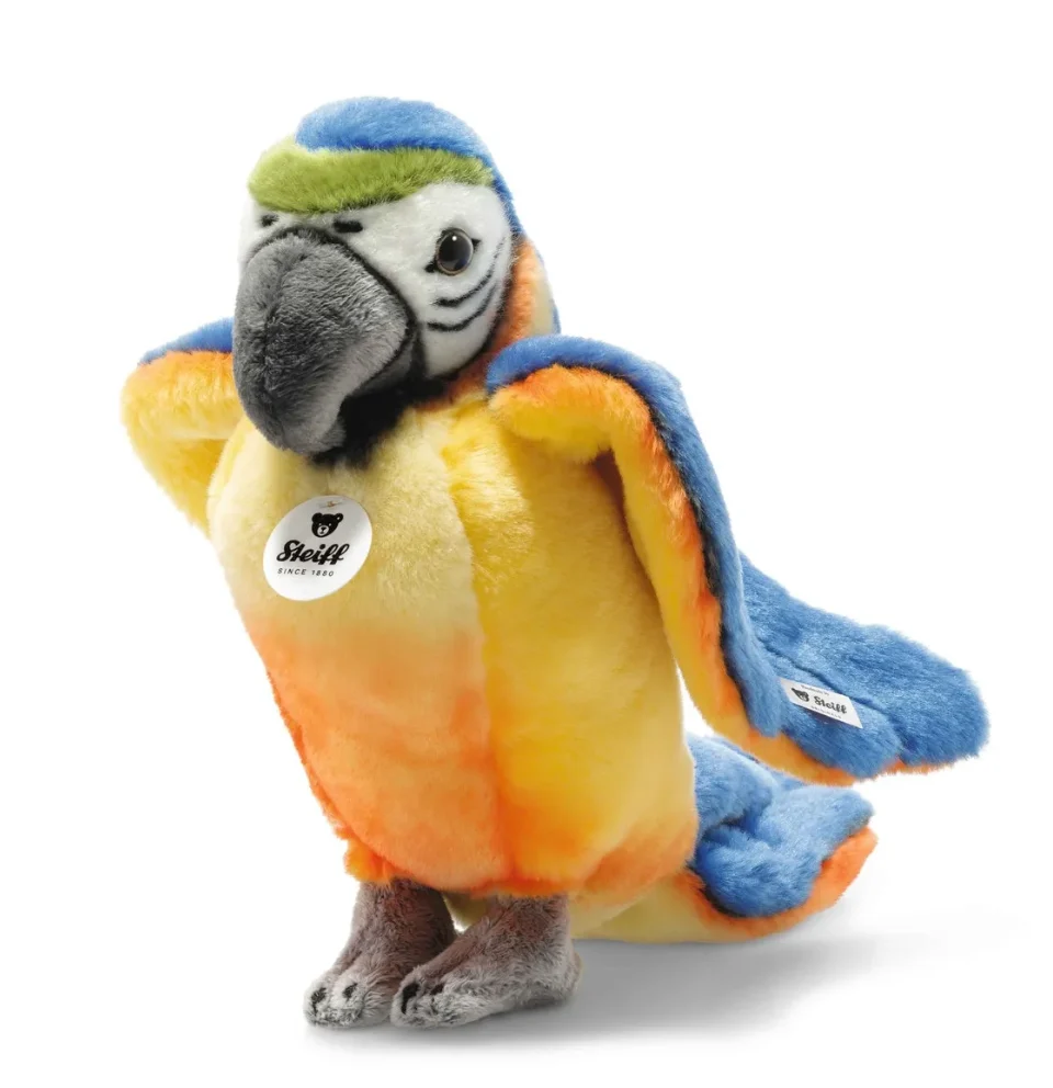 Certified Parrot Lori Top-Quality