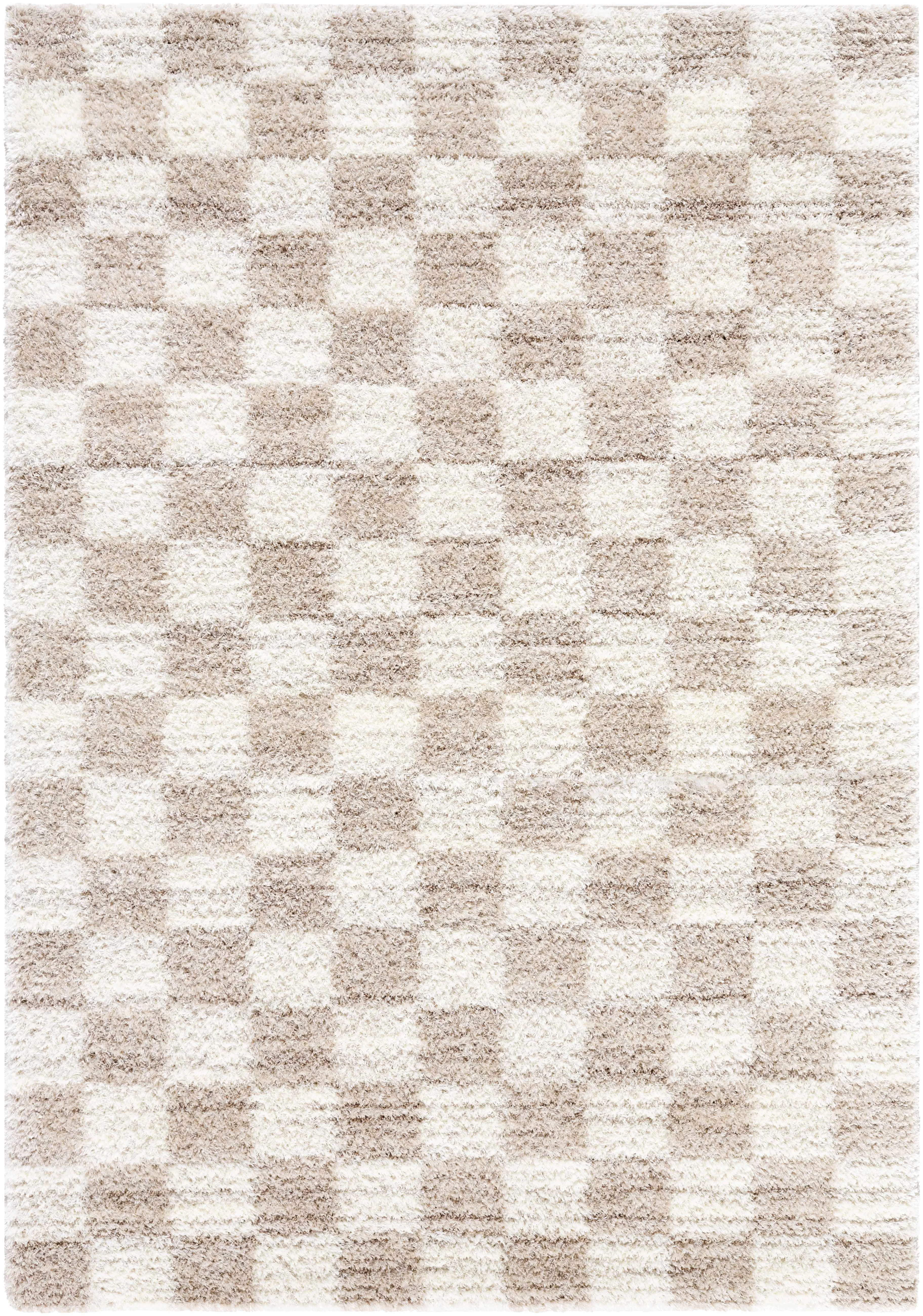Durable Belita Beige Luxe Shag Area Rug Professional