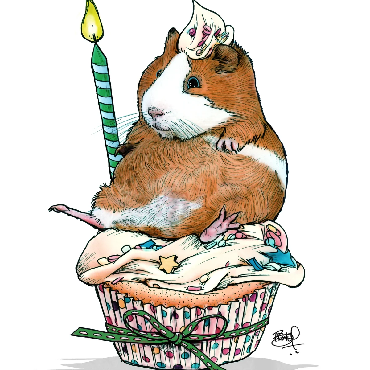 Elite Plop on Top Guinea Pig Card Convenient