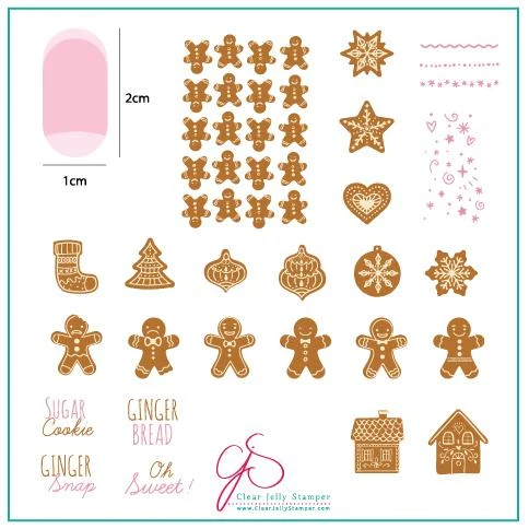 Superior Mmm...Cookies CjS C-36 - CJS Medium Stamping Plate Traditional