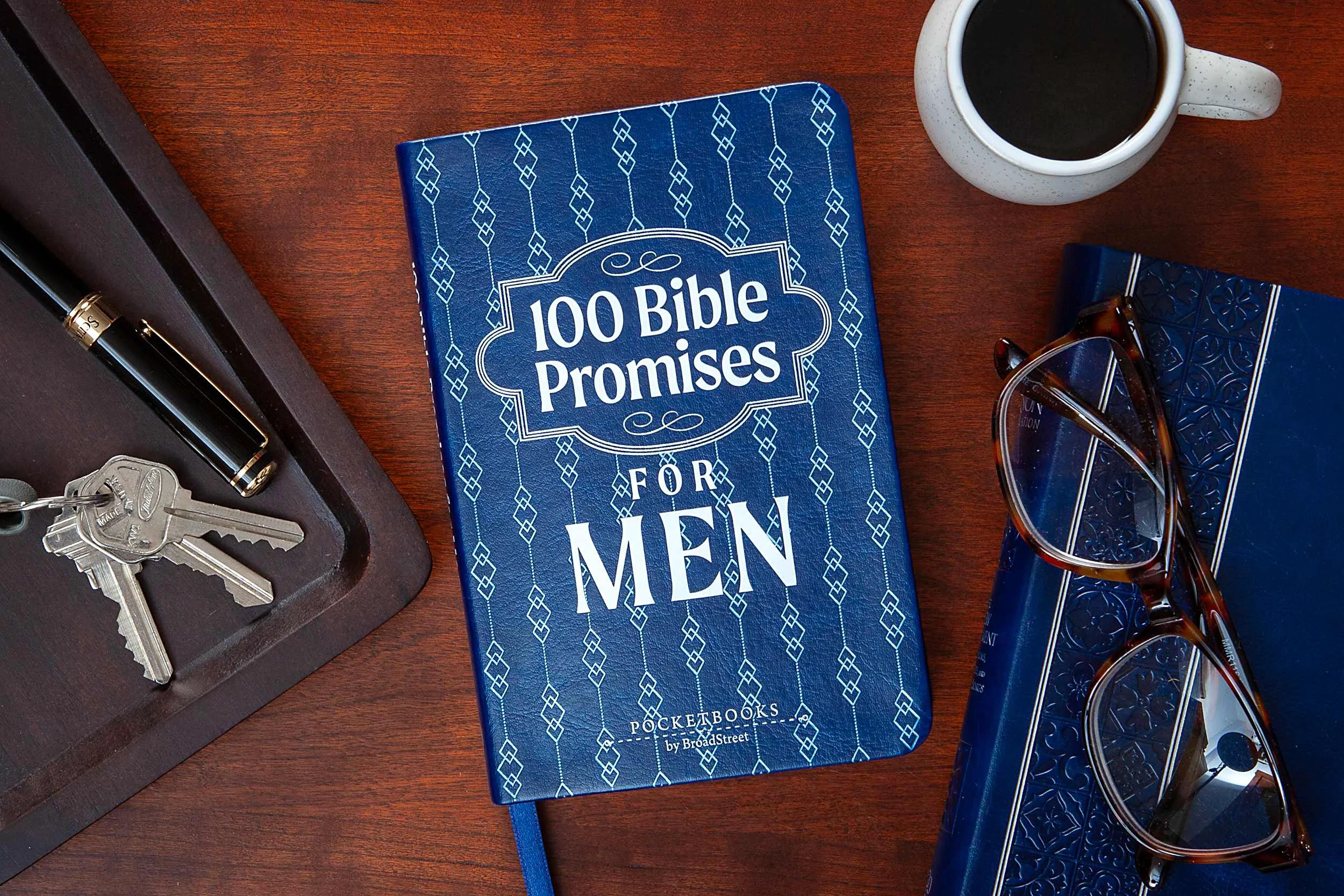 Fine Crafted 100 Bible Promises for Men High-Grade