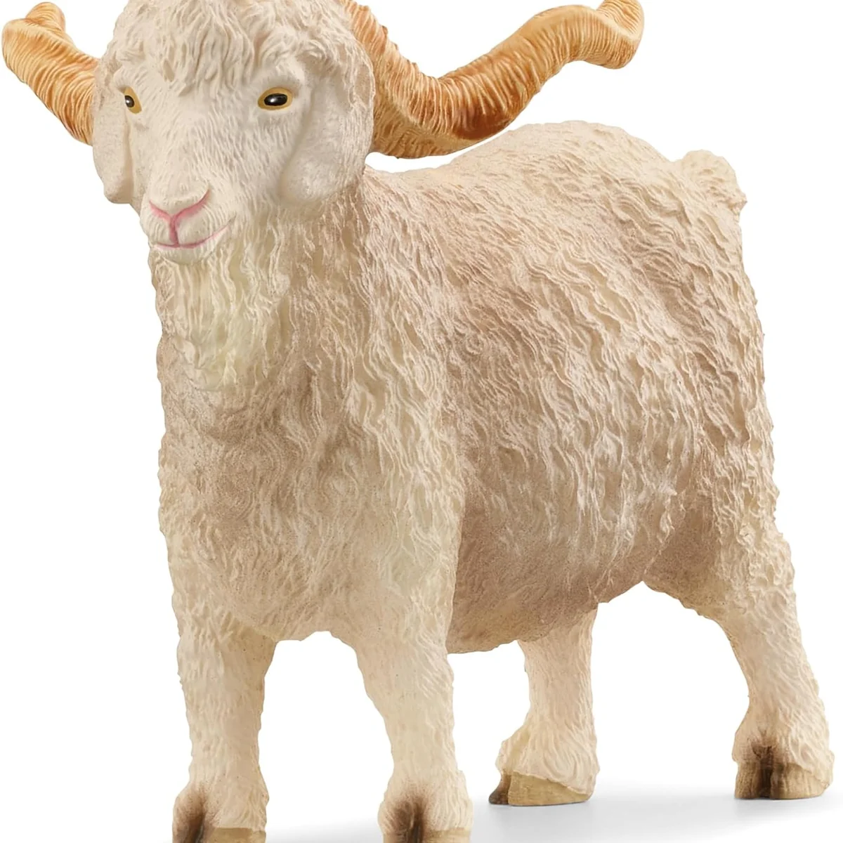 Authentic Angora Goat Advanced