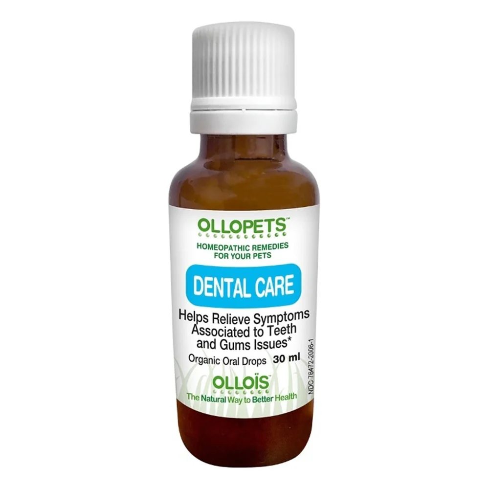 Artisan OLLOIS Homeopathic Dental Care Relieves Teeth and Gum Issues 1Oz 30ml Reusable