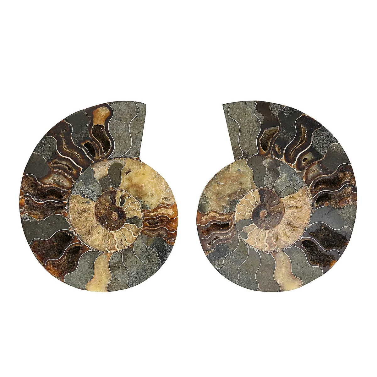 Expertly Made HomeHomeHome DecorHome Accents 8195590 Trendy