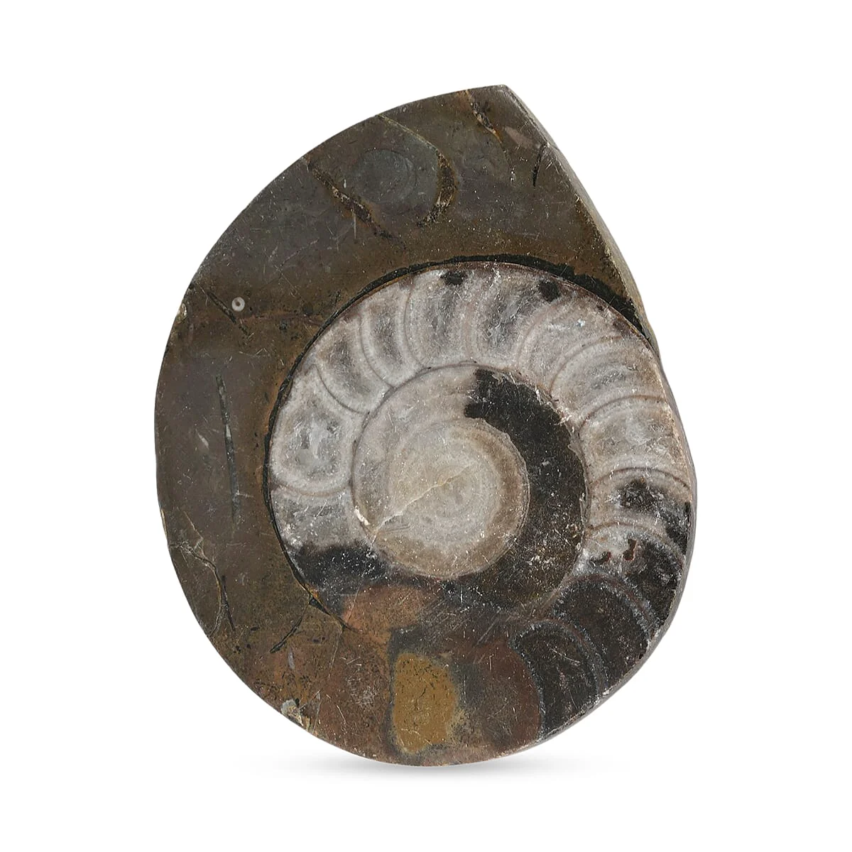 Sustainable HomeHomeHome DecorHome Accents 8508406 Responsible