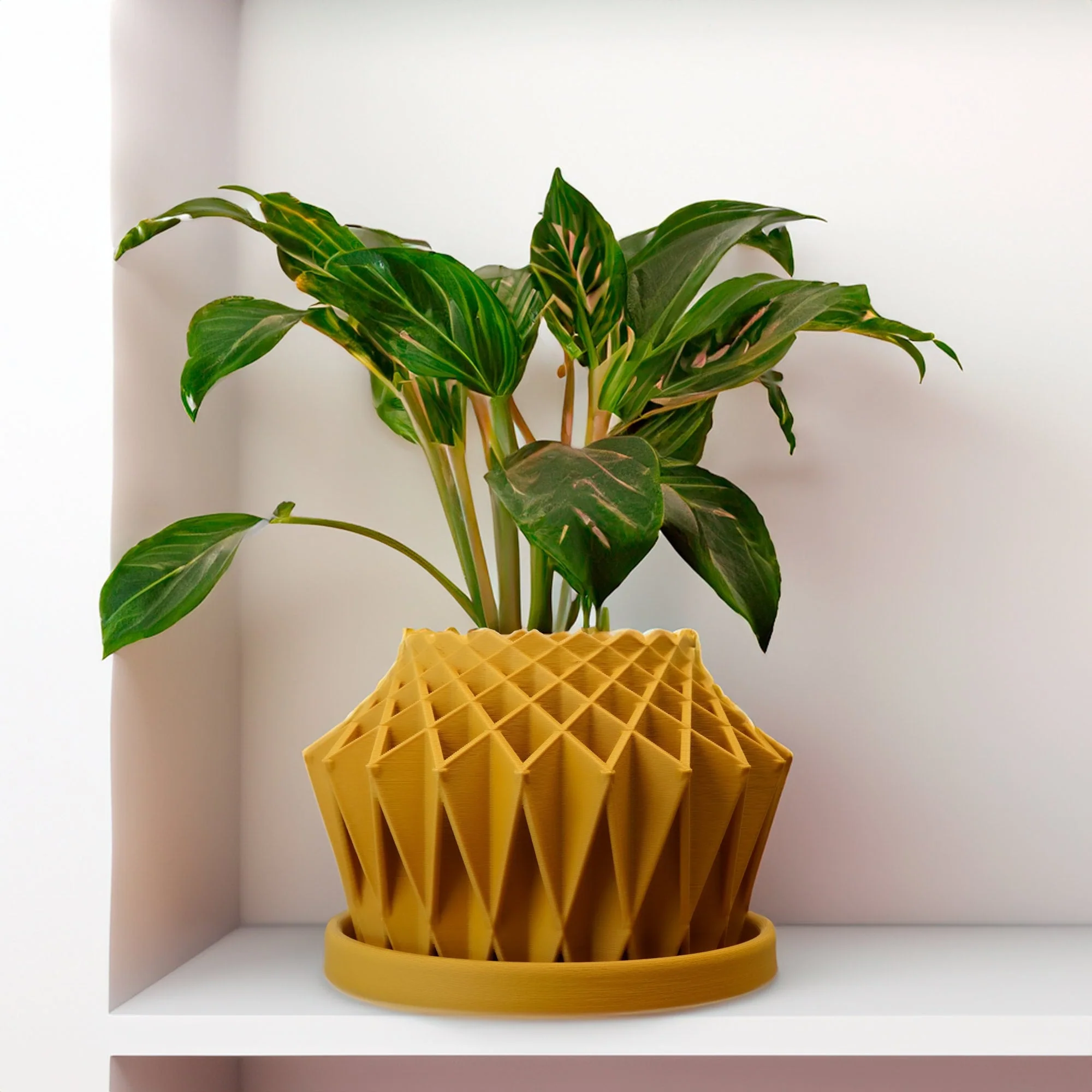 Top-Quality Galaxy Groove Plant Pot Fashionable