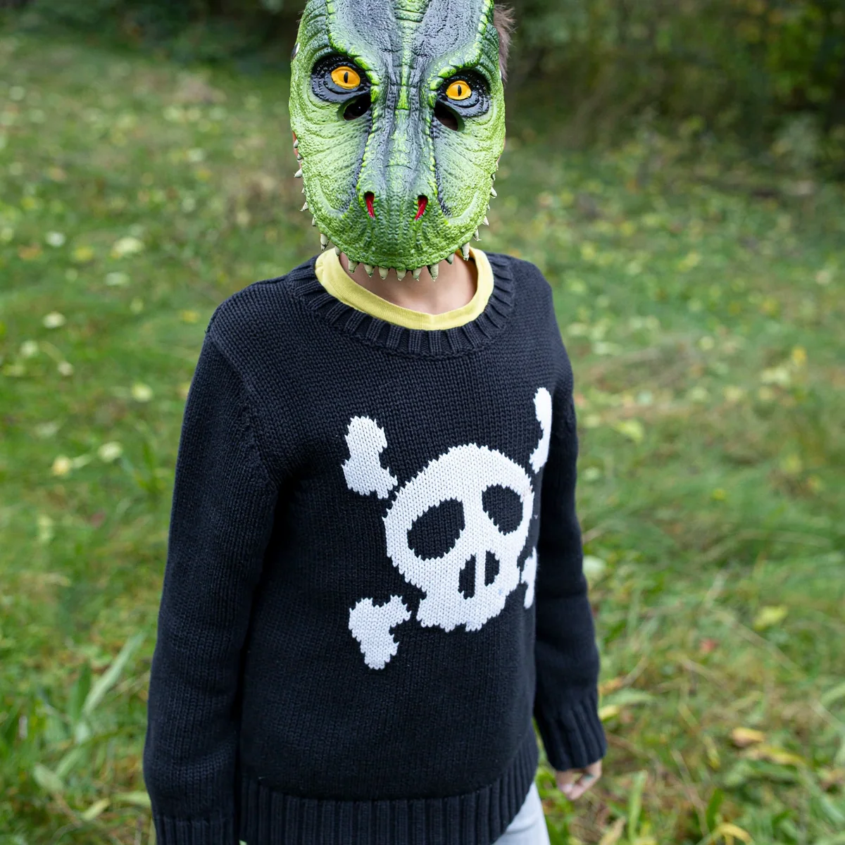 Expertly Made T-Rex Dino Mask Authentic