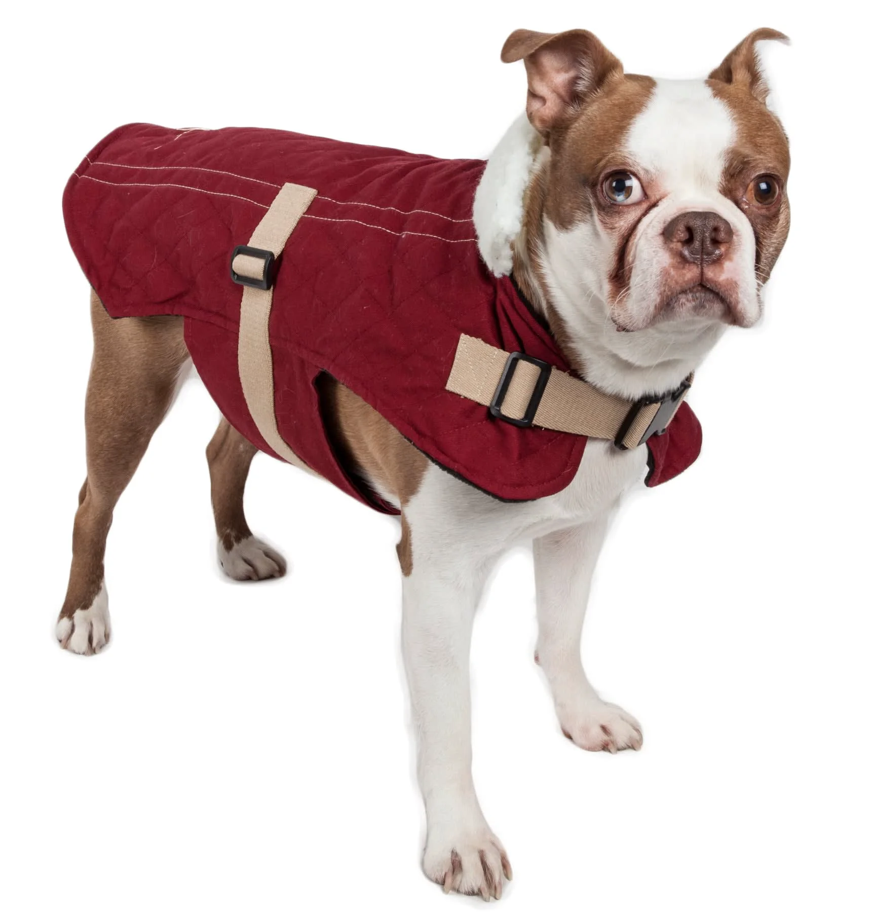 Top-Quality Pet Life Touchdog Sherpa-Bark Designer Fashion-Forward Dog Coat Responsible