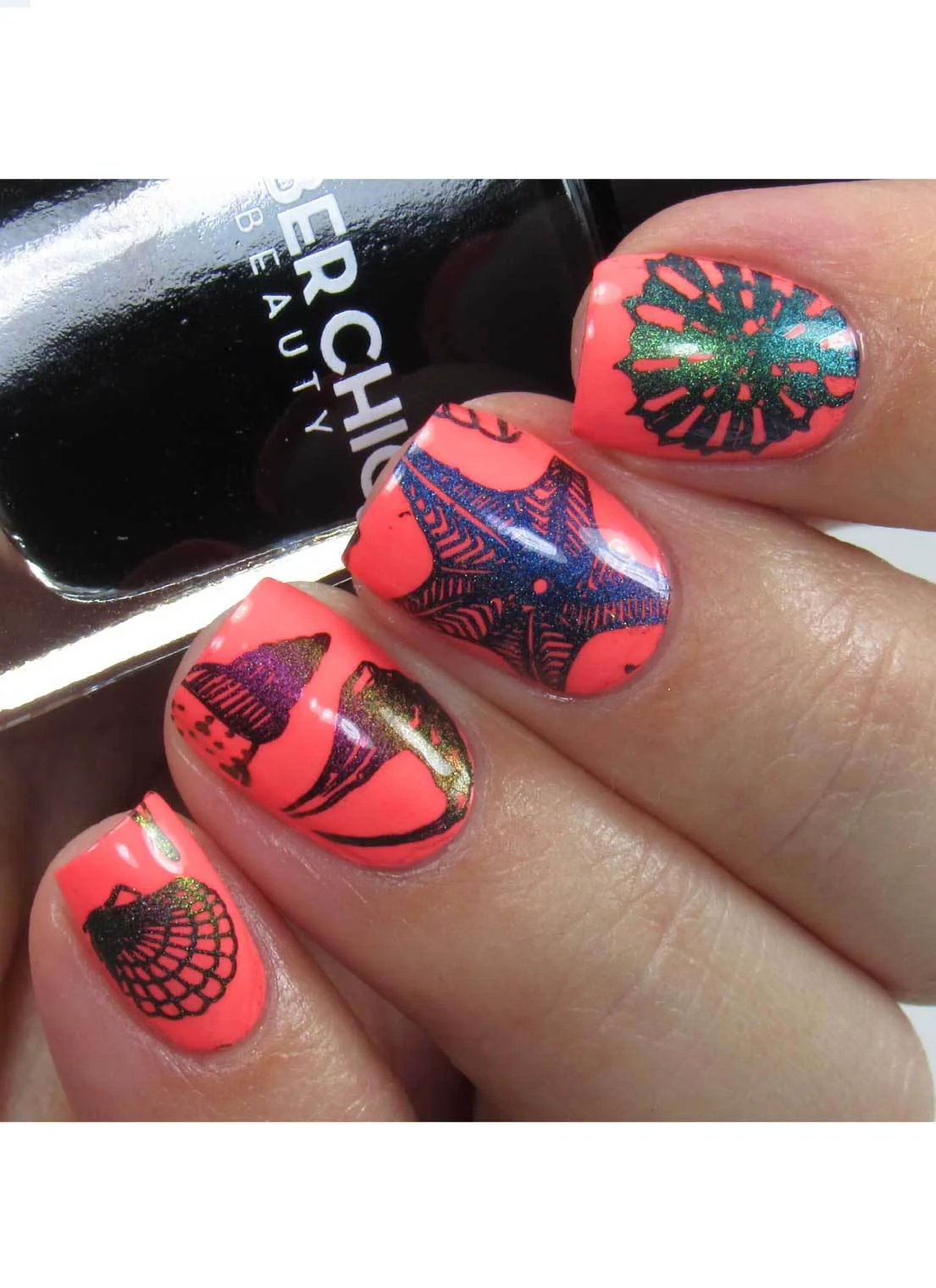 Enhanced Seashells Aplenty - Uber Chic Mini Stamping Plate Clean