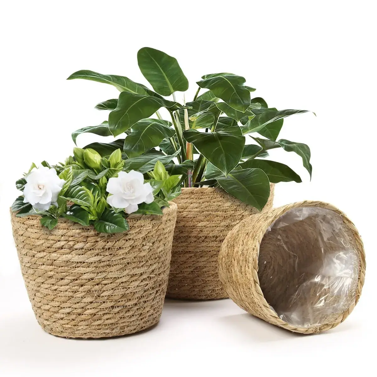 Fine Crafted Decorative Woven Planter with Plastic Liner Efficient