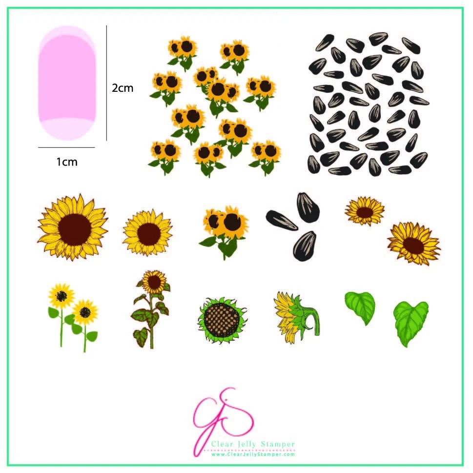 Detailed Sunflowers CjS-163 - CJS Medium Stamping Plate Modern