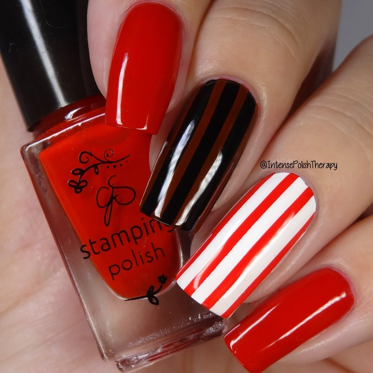 High-Grade 96 Pretty Bird - Stamping Polish User-Friendly
