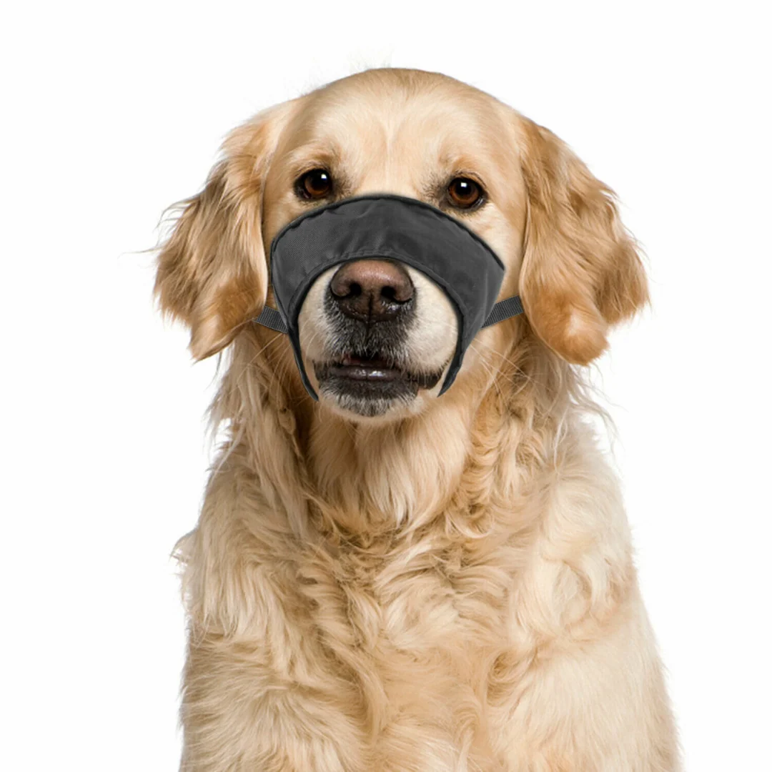 Modern Adjustable Small Big Dog Barking Mouth Guard Muzzle Crafted