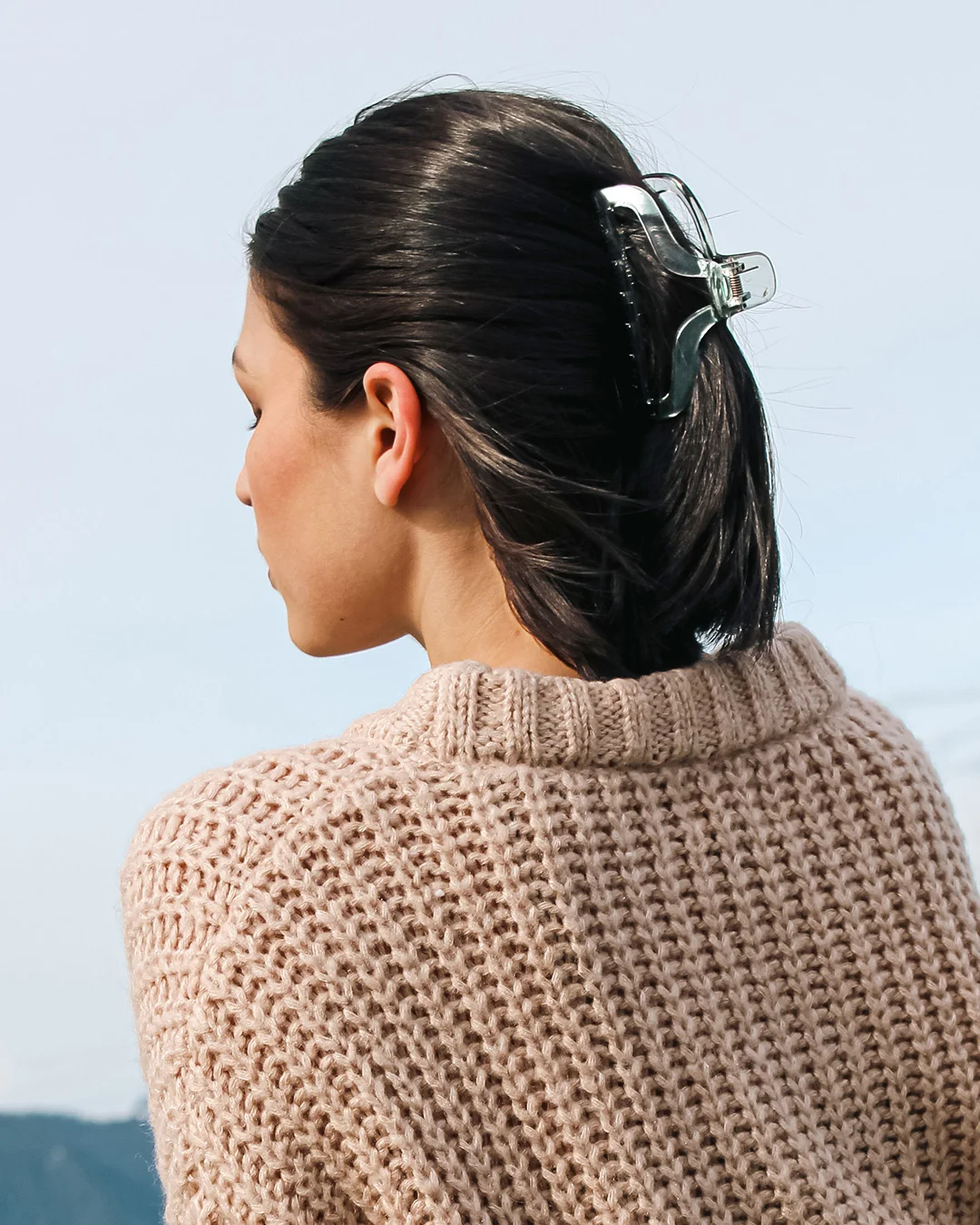 Fashionable Marketplace - Clear Claw Clips High-End