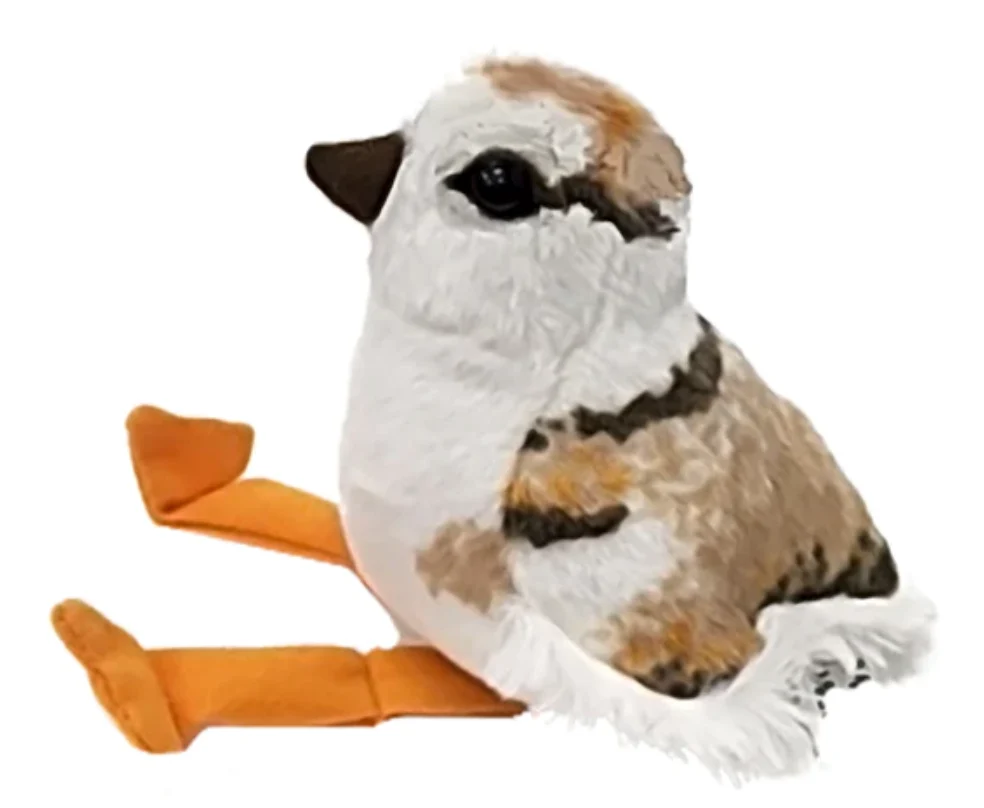 Professional Audubon Bird Piping Plover Chick Fine