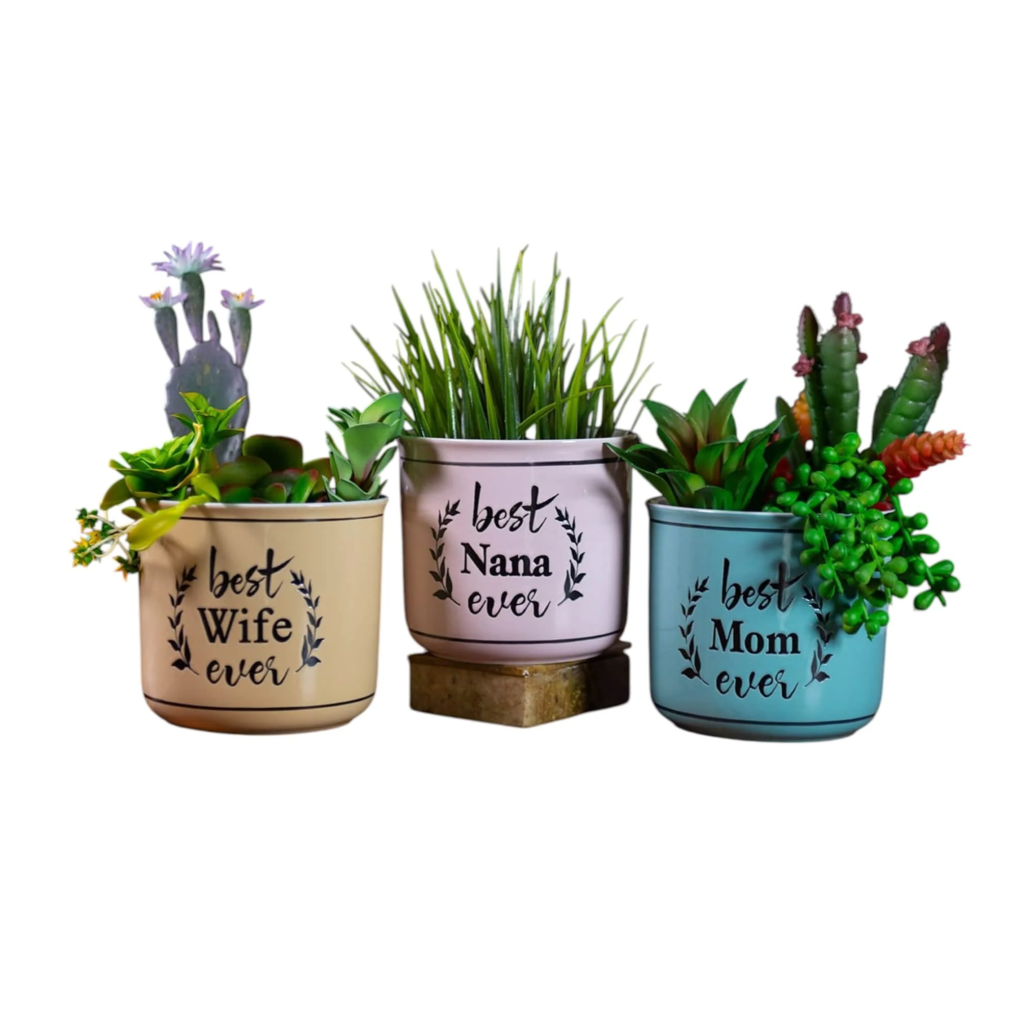 Top-Quality Ever Camp Planters 5 3 Asst Smooth