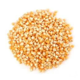 Trendy Corn of love - popcorn Casual