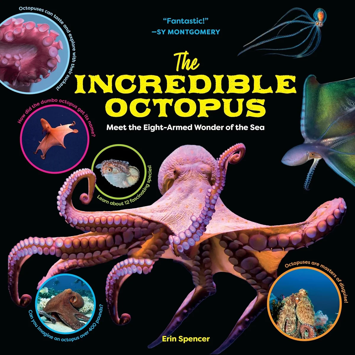 Enhanced The Octopus Functional