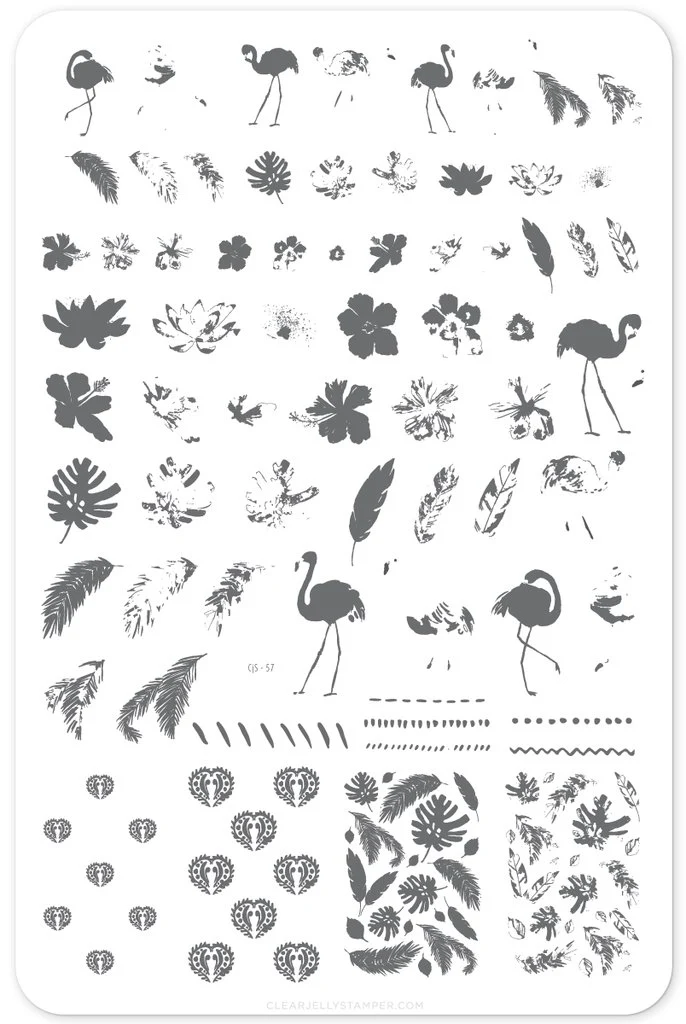 Smooth Fabulous Flamingo CjS-57 - Clear Jelly Stamping Plate Functional