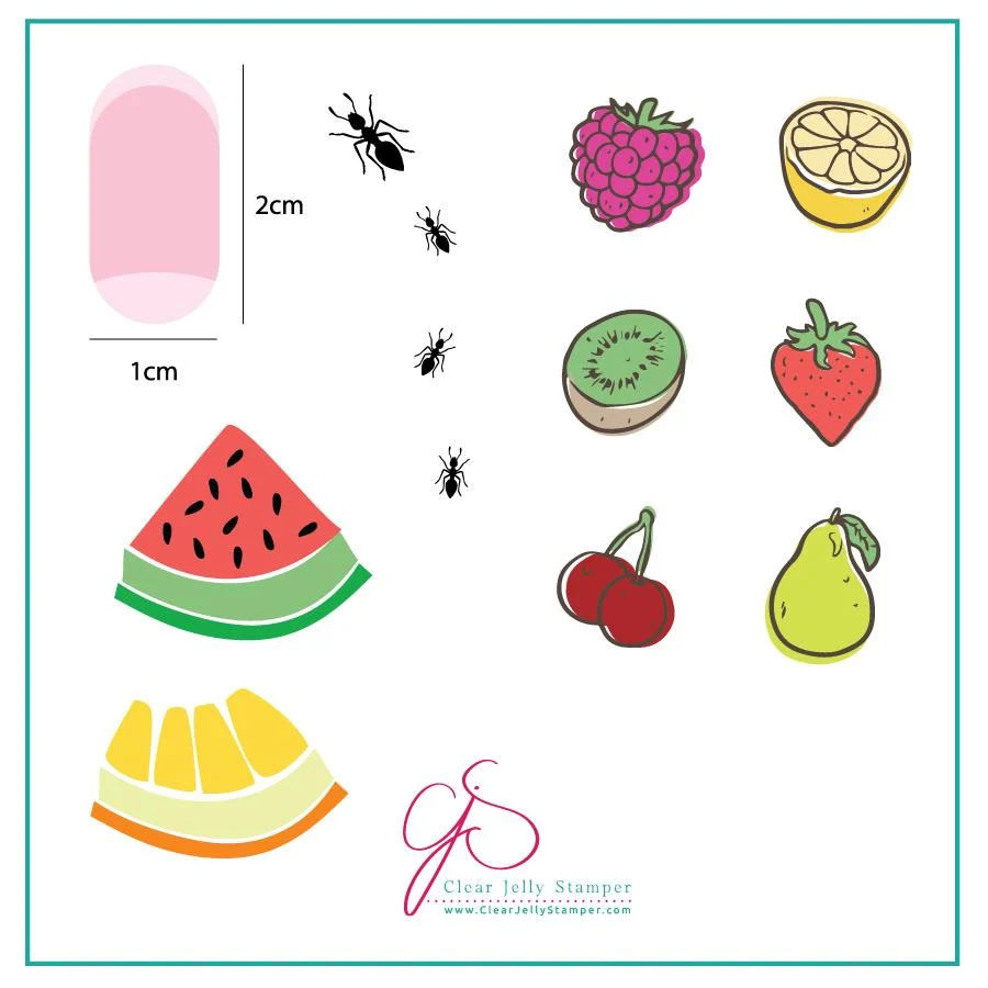 Reusable Fruit anyone CjS-63 - CJS Small Stamping Plate Fashionable