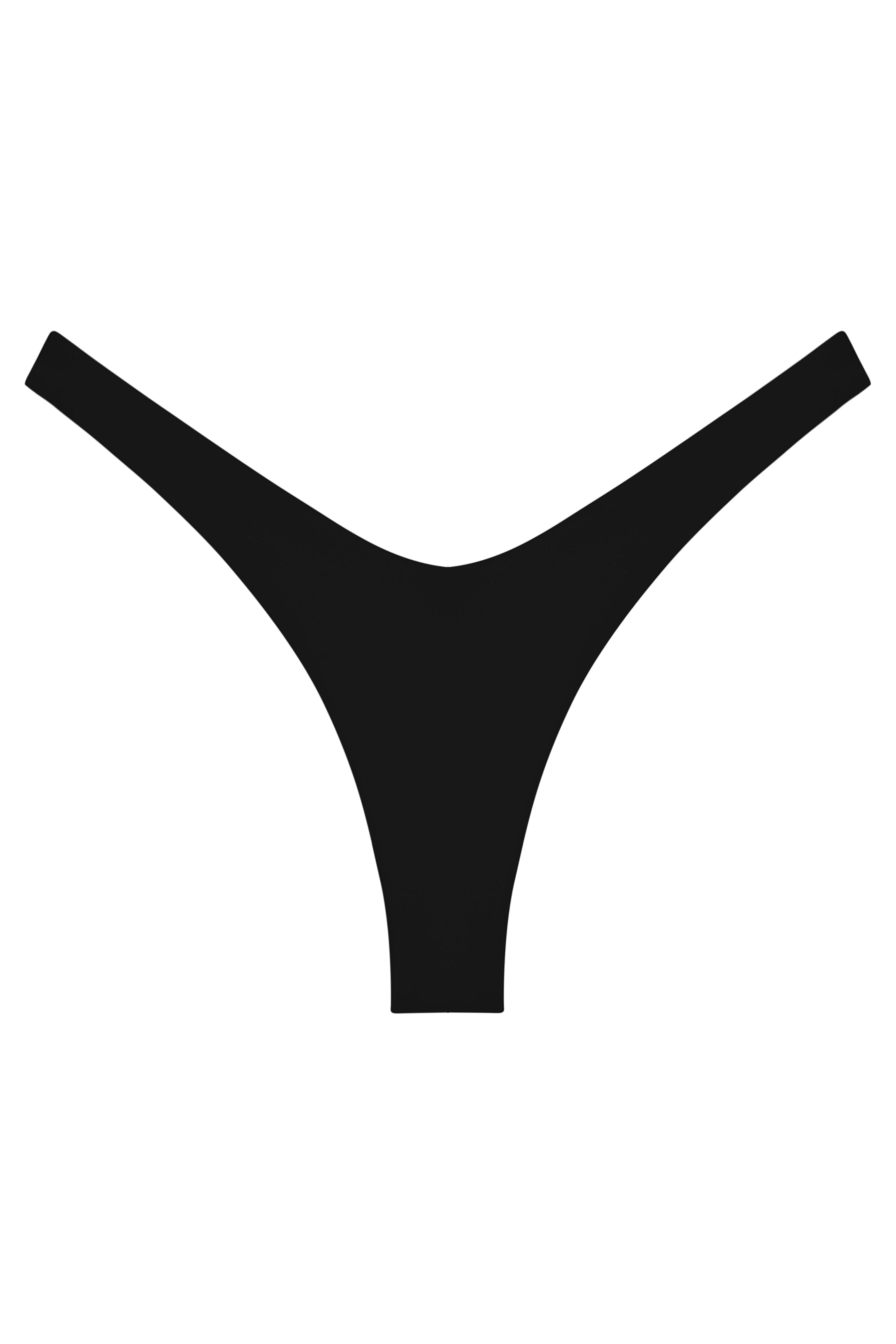 Verified Ludisia Bottom Consistent
