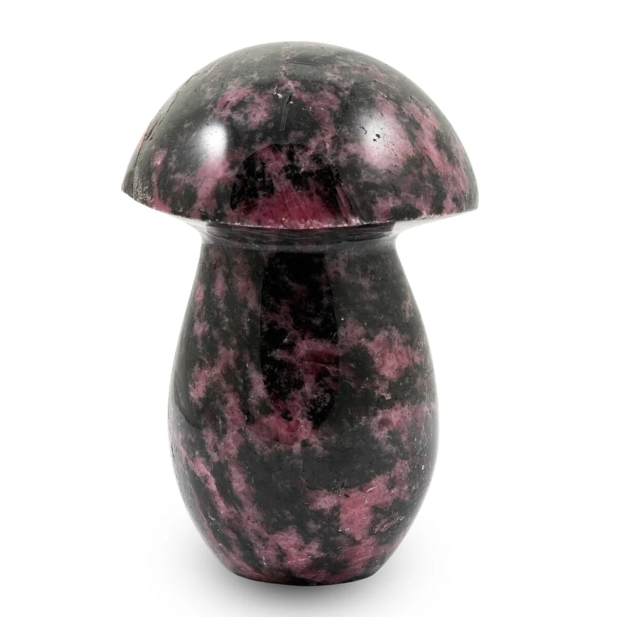 Reusable HomeHomeHome DecorHome Accents 8379247 Exceptional