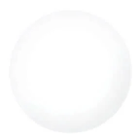 Traditional White Nail Art Paint with Striper Brush Top-Quality