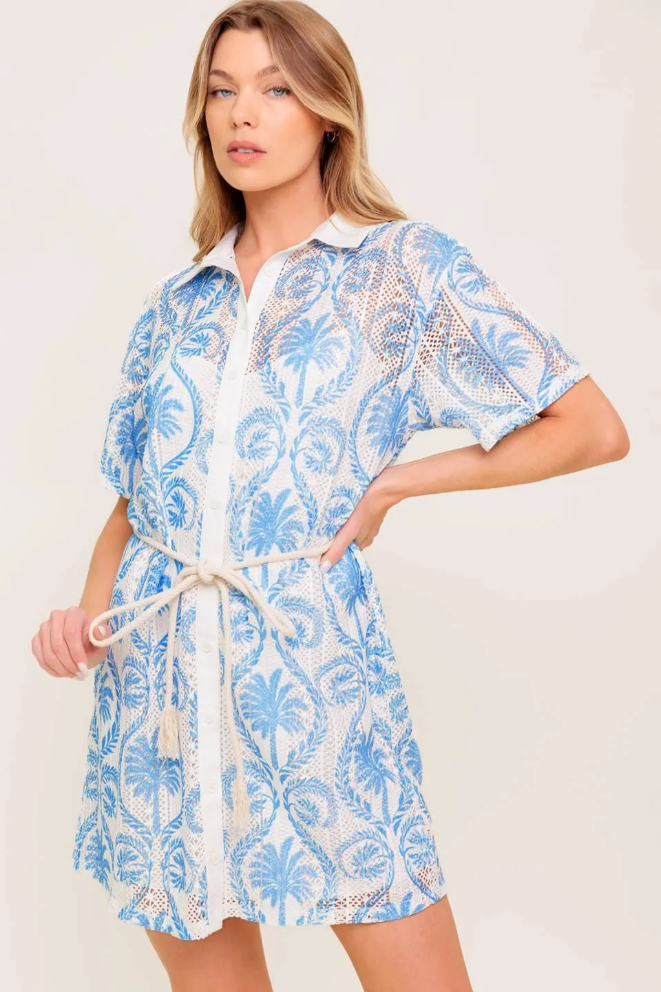 Smart Gentle Spirit Woven Lace Mini Dress Exceptional