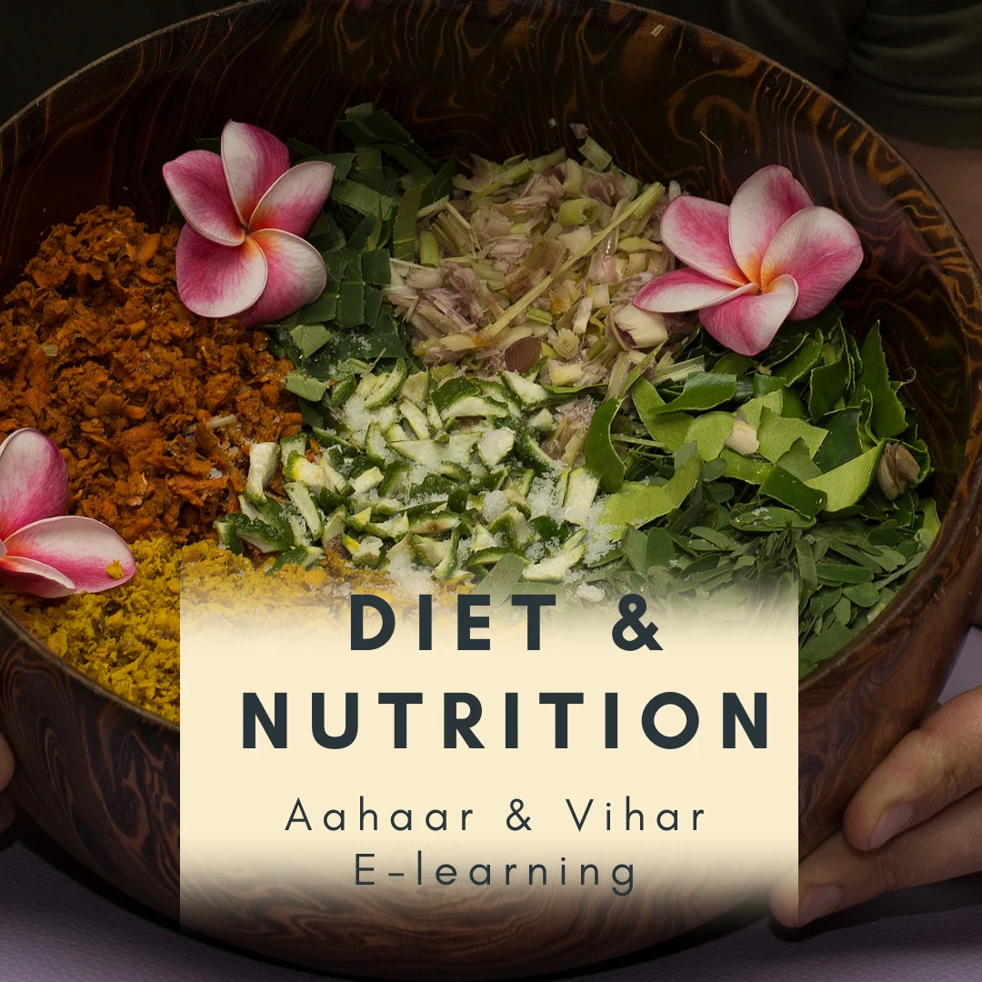 Soft Nutrition Diet - Aahaar Vihaar Advanced