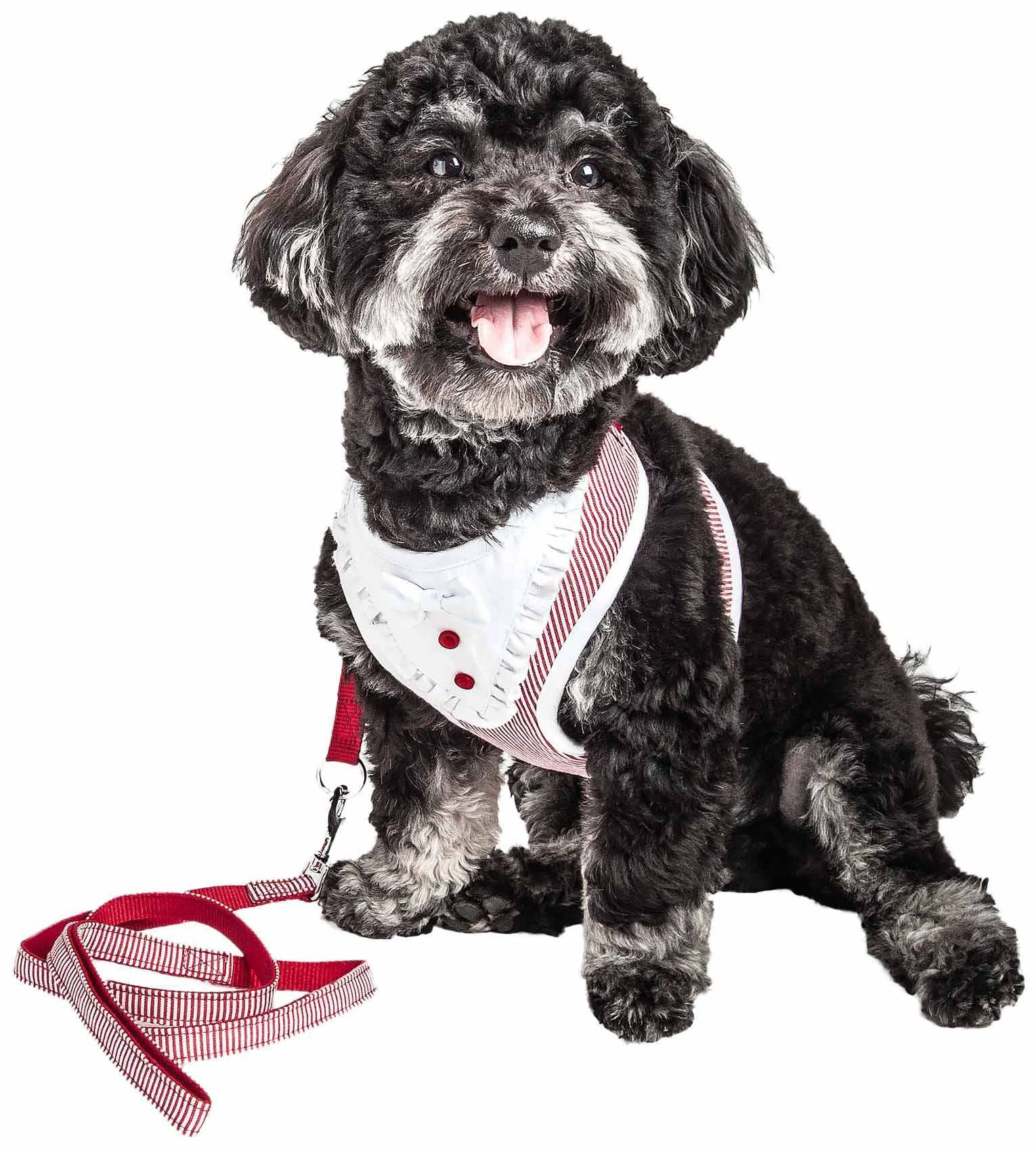 Smooth Pet Life Luxe 'Spawling' 2-In-1 Mesh Reversed Adjustable Dog Harness-Leash W Fashion Bowtie Reusable