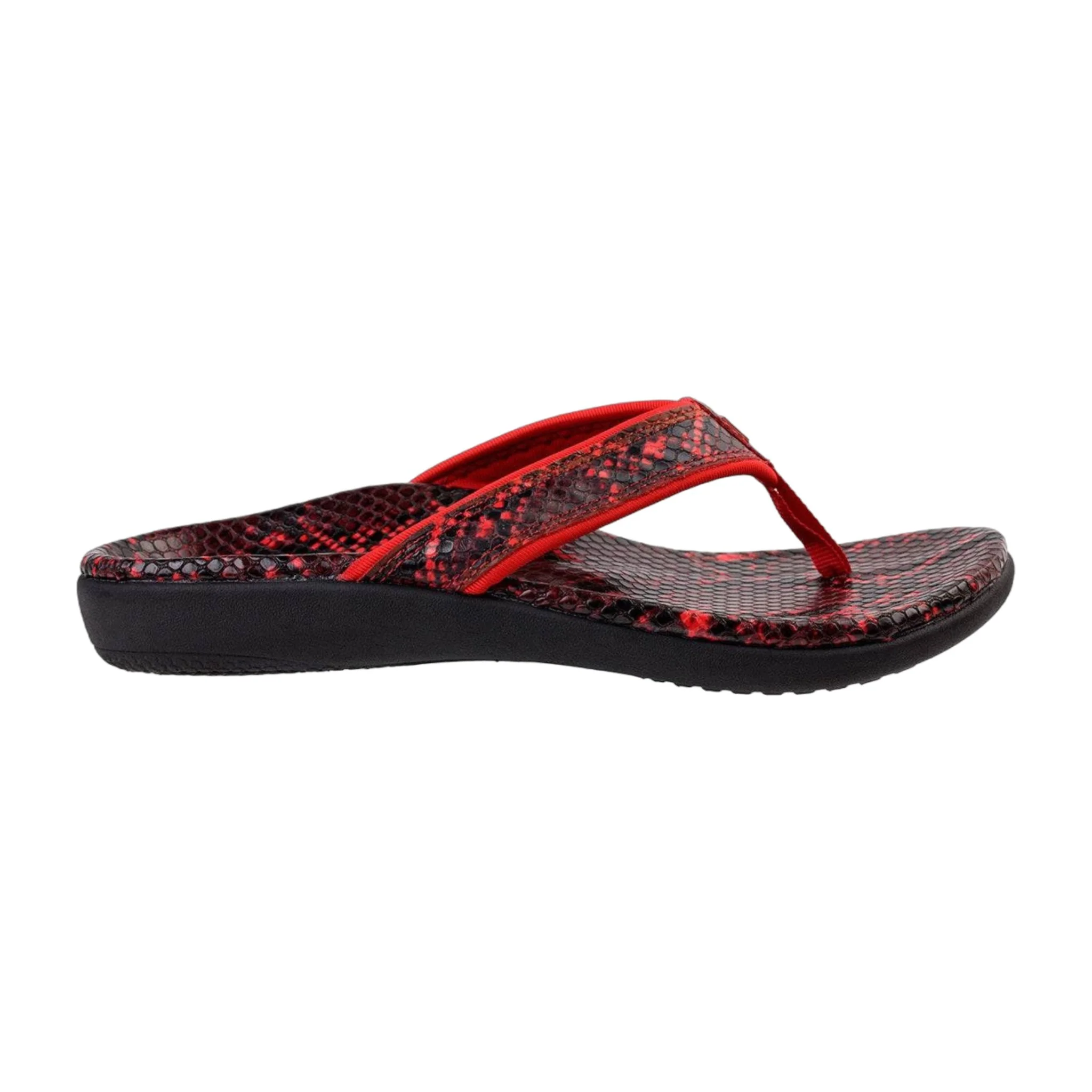 Specialty Spenco Yumi Nuevo Snake Women's Sandals Practical